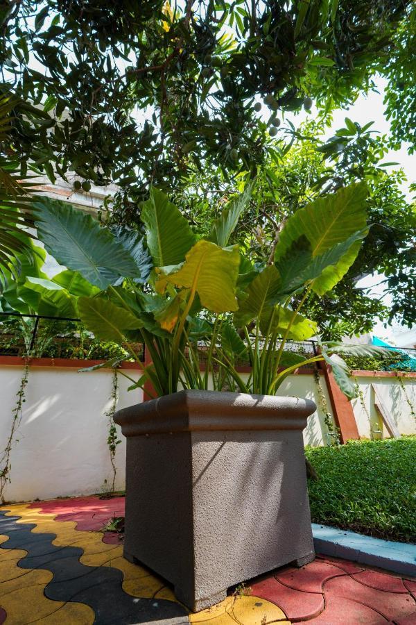 Parudeesa - Heavenly- Luxurious Palace Look-Near Cbd - Kerala - India With Breakfast Kāladi Exterior foto